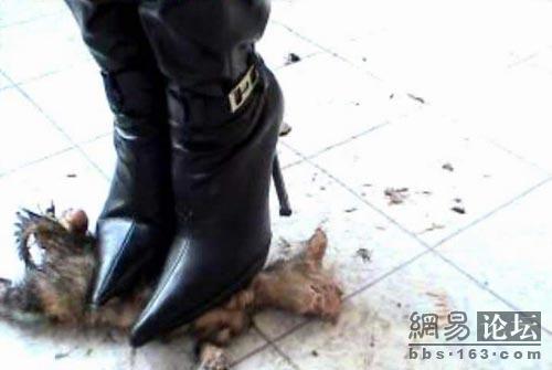 超女变态女人,活活<em>踩死</em>一只小猫!(组图)!_灌水