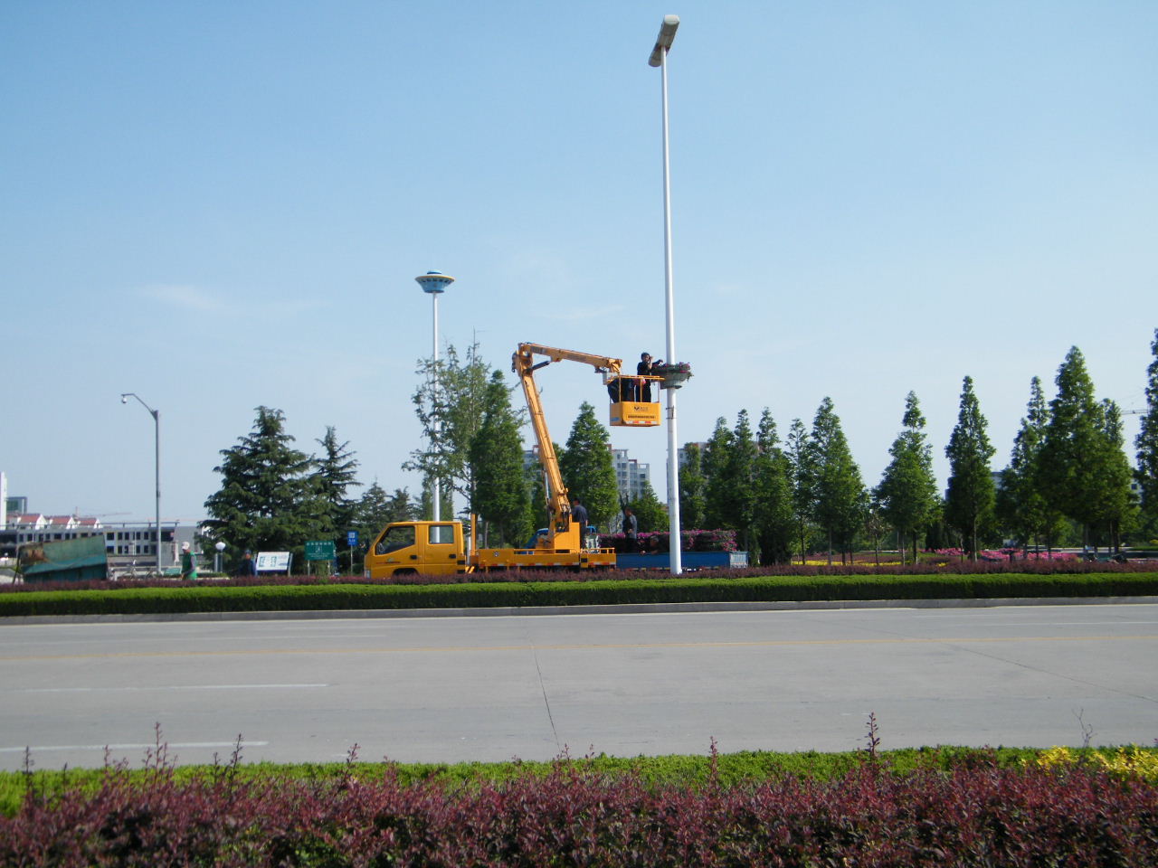 莱西烟台路路灯杆上长出了鲜花_原创摄影_莱