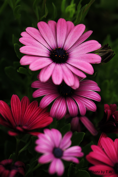 20110601113000563.jpg