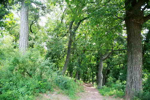 我的老家—辽宁凌源河坎子 按此在新窗口浏览图片