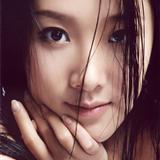 野性之美