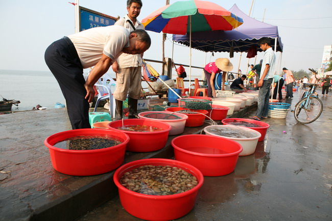 惠州澳头海鲜市场_海鲜街效果图_惠州澳头海鲜街