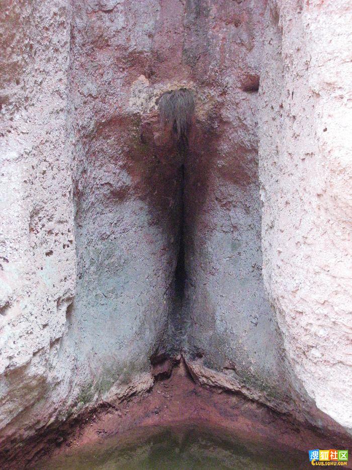 2011-8-25论坛图片_讷河论坛