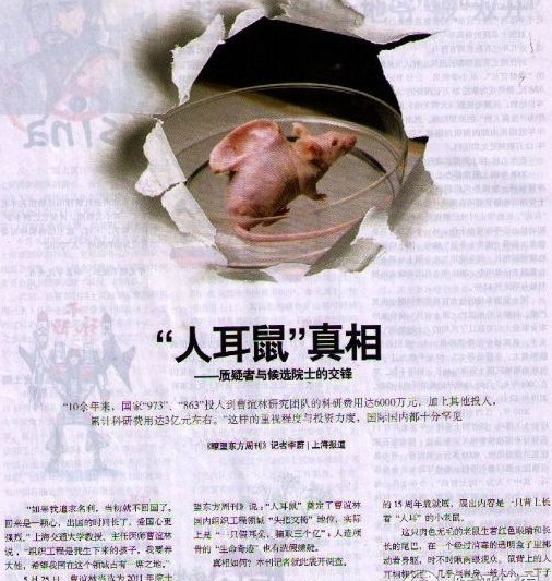 笑看人耳鼠,科学家们在学术操场上踢皮球