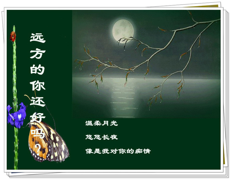原文地址:远方的你…还好吗?