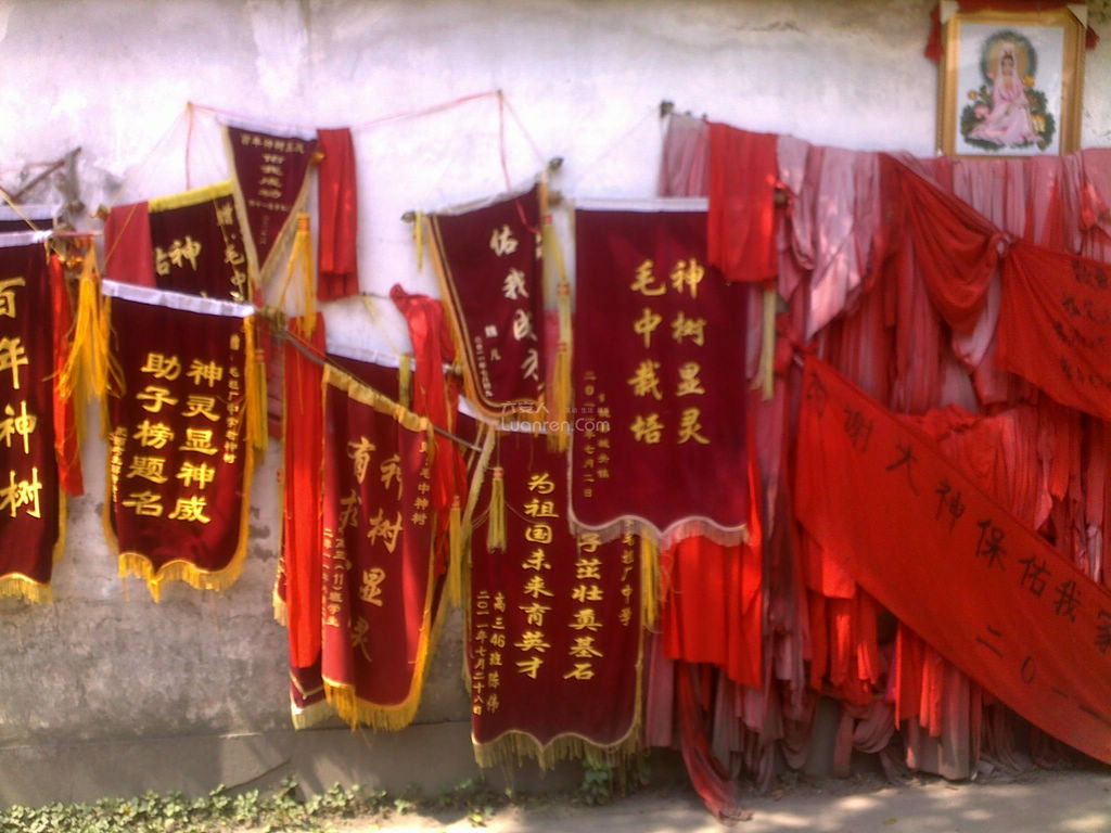 安徽六安毛坦厂中学图片