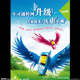 小灵通转网