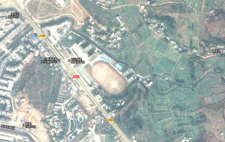 从google卫星地图看仁寿县城变化图片