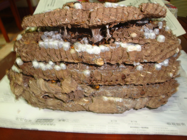 20111026171602347.jpg