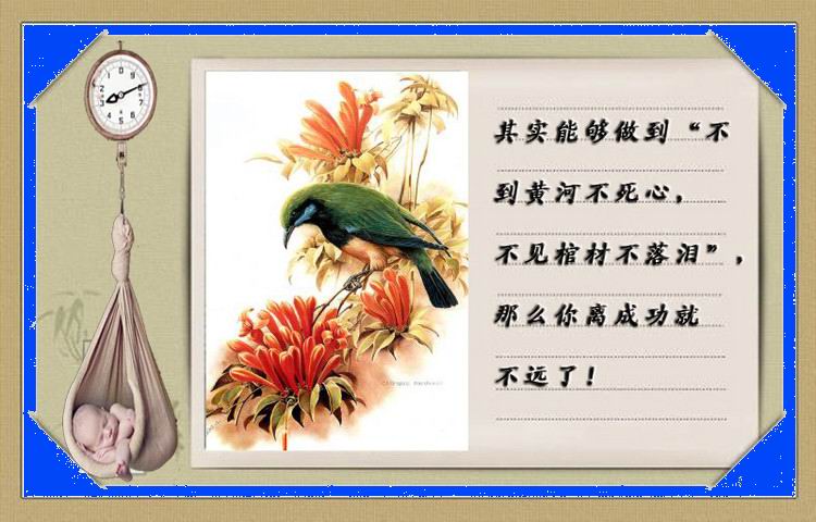 背景音乐:今天-刘德华-人生最实在的话 情感酒吧