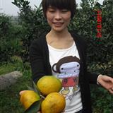 ���쳤��֮�ٰ��ָ���