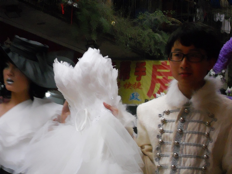 黄桷树:美丽冻人的走台 黄桷树:美丽冻人的走台