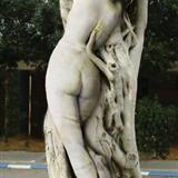 ����ͼƬ ������