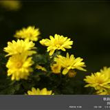 �ջ�����