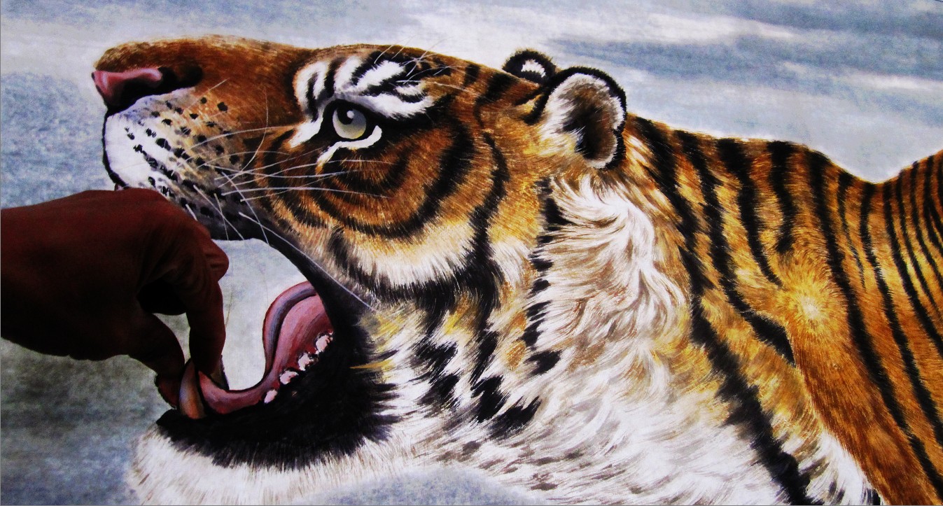  虎口拔牙 _影友园地_凌源论坛