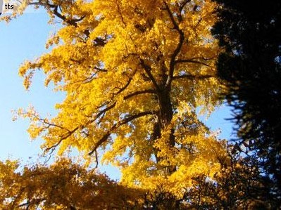 <em>为什么</em>有些<em>女人</em>很<em>虚荣</em>?_讷河摄影_讷河论坛_