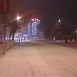 2011��ڶ���ѩ
