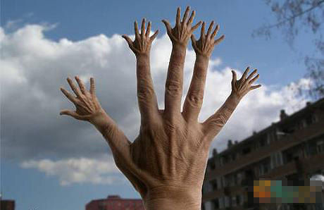 2011112910061941.jpg
