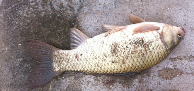 2011112914132495.jpg