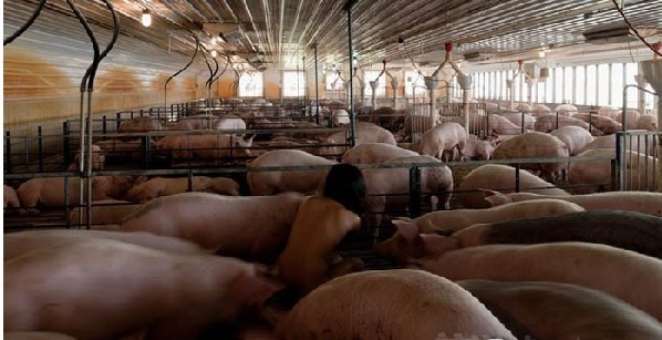 全世界<em>最大胆</em>最露骨的行为艺术_贴图专区_阎