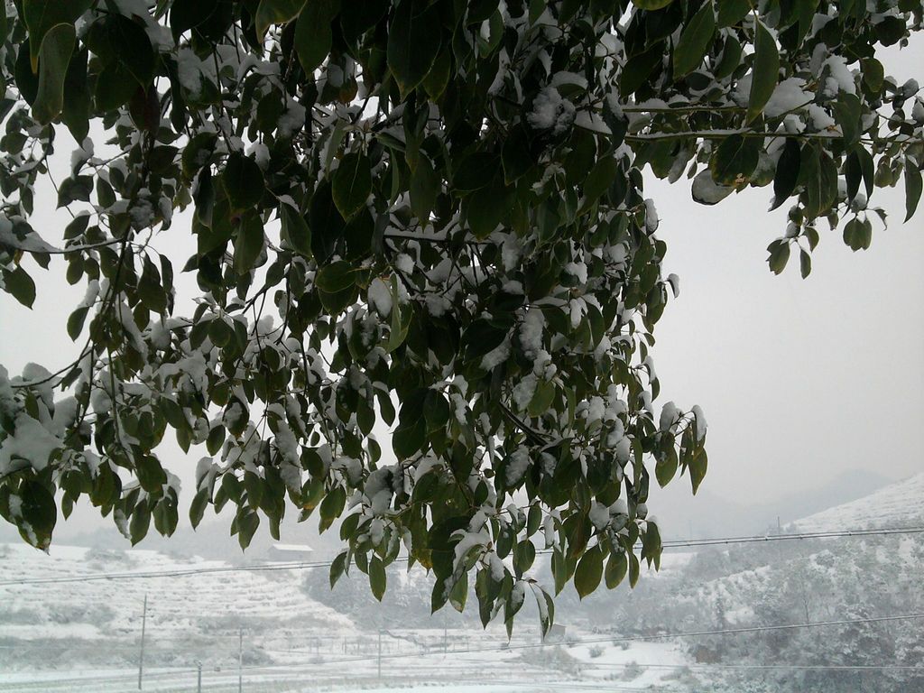 201111815330577.jpg