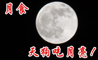 [ԭ��]2011-12-10��ʳ������������