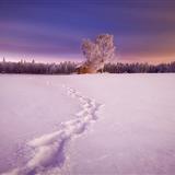 Mikko Lagerstedt���λð�