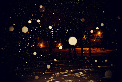 20111219201040225.jpg