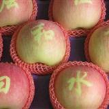 白水苹果
