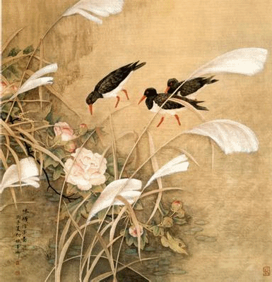 主题: [贴图]美丽的小鸟