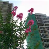 建设中的陇南