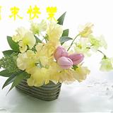 zcty