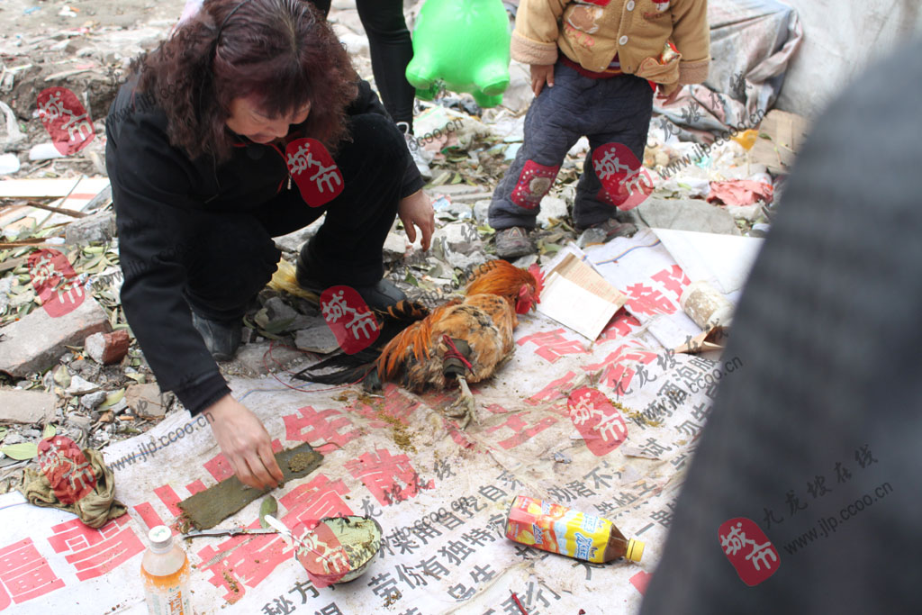 白市驿虐鸡 卖"土匪药"