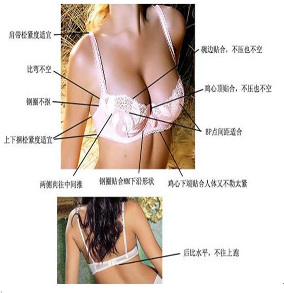 选择合适的内衣<em>size</em>!