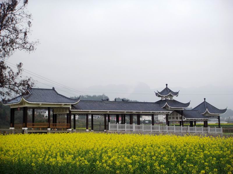 [原创]贵州湄潭邓家寨稻香居春光美