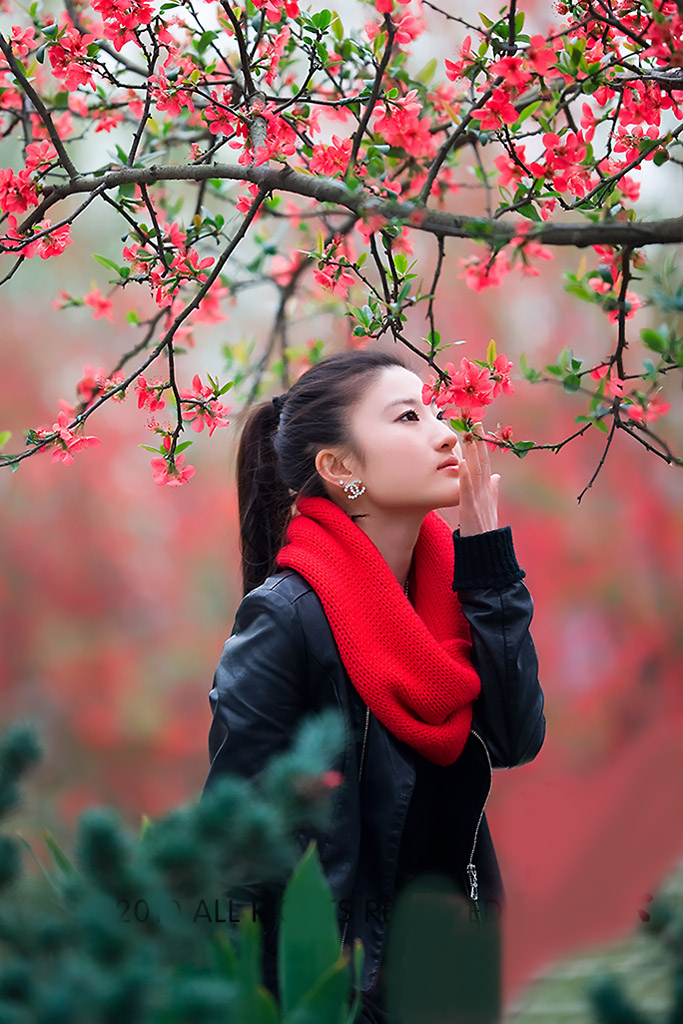 <em>你是</em>我今生<em>最爱的女孩</em>_贴图专区_平舆论坛