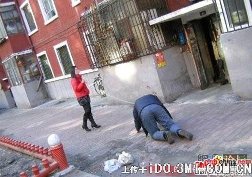 无耻女人!竟把男友当狗(图)