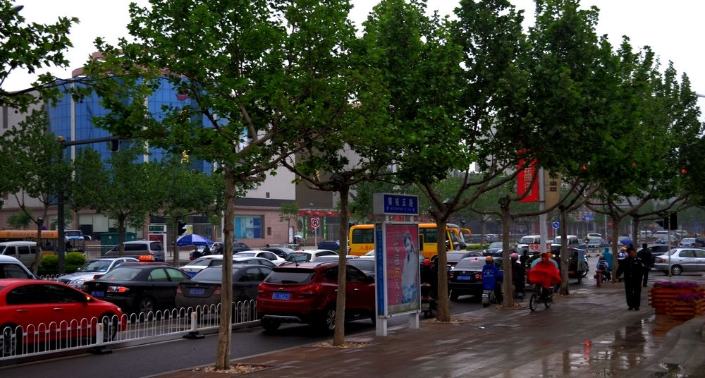 香港上班路照片 20115109495448.jpg