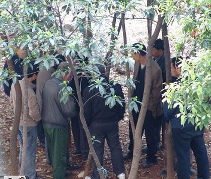 龌龊!小<em>树林</em>里<em>上演</em>的不堪一幕