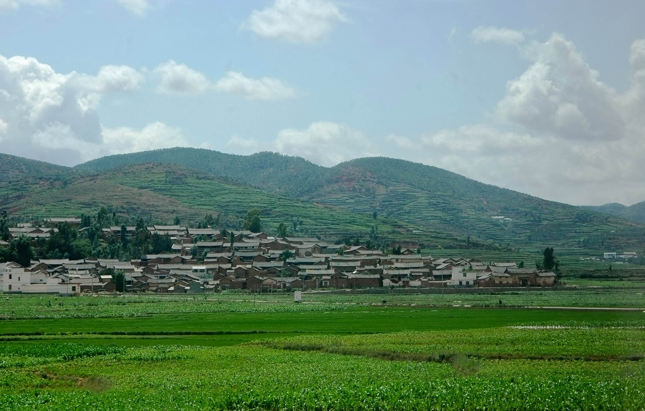 [注意]江夏区摄影家协会2011年7月摄影作品展