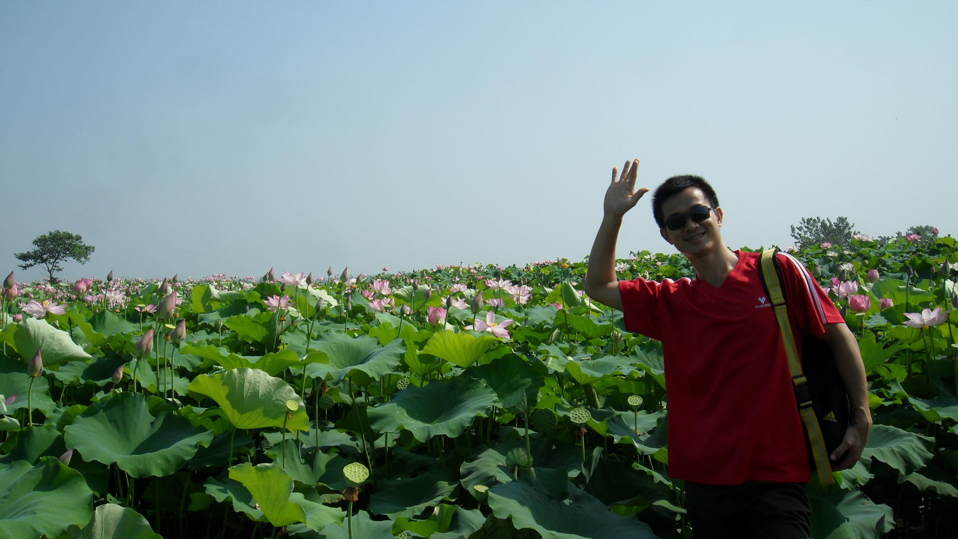 江夏区法泗镇沿河村,号称3万亩荷花基地,名不虚传。 与友纸坊客运站见,80分钟的法泗客运也让人在车上让眼睛先开开荤,呵呵.下车后直接与面的司机谈好价钱到我们的目的地沿河村委(当然了整个行程是做了计划的),路上面的师傅也还热情,知道我们是来赏荷花的,还给我们介绍一些情况,感谢面的师傅。离村委还有一段距离我们就被路旁的景色所迷住了,要求师傅停车我们在就在下,虽然头顶着烈日,但是我们不怕,好像忘记了酷热,只有眼前的景色。文字太多不如PP多。。。 如果能住在这远处的房子也是很不错的 一眼望去中间这2个树