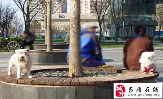 老来横祸!老公被小三抢走之后,我该怎么办?(图)