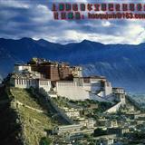 ���Ŷ��������������¶�̬