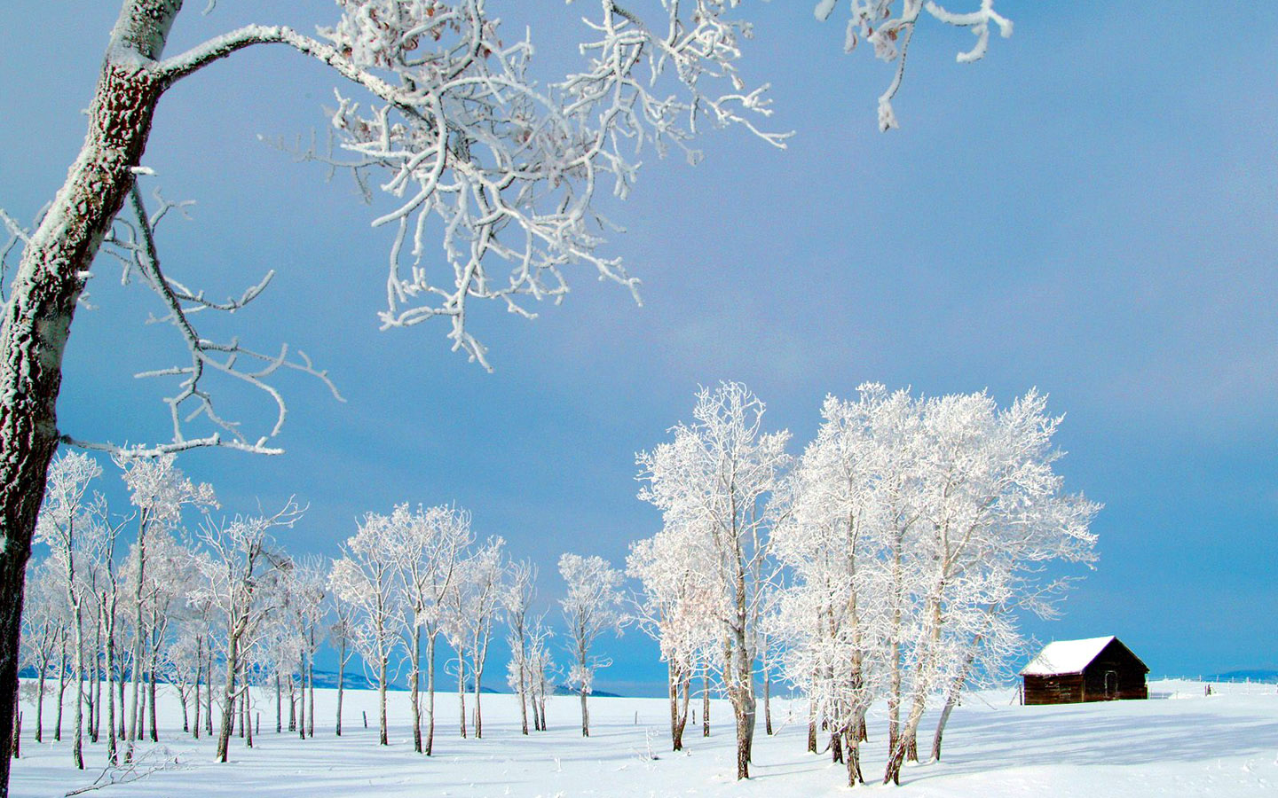 沁园春雪描写北国雪景_雪景的描写