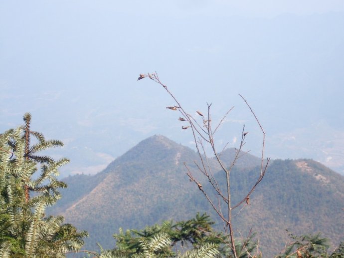 主题: [转贴]登高河伯岭 共享秋色秋韵-邵阳县河伯岭登山攻略