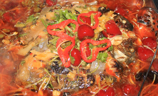<fontcolor=#FF1493>【小编探吃】独家为您推荐旬阳美食名店公社烤吧的特色新菜</font>