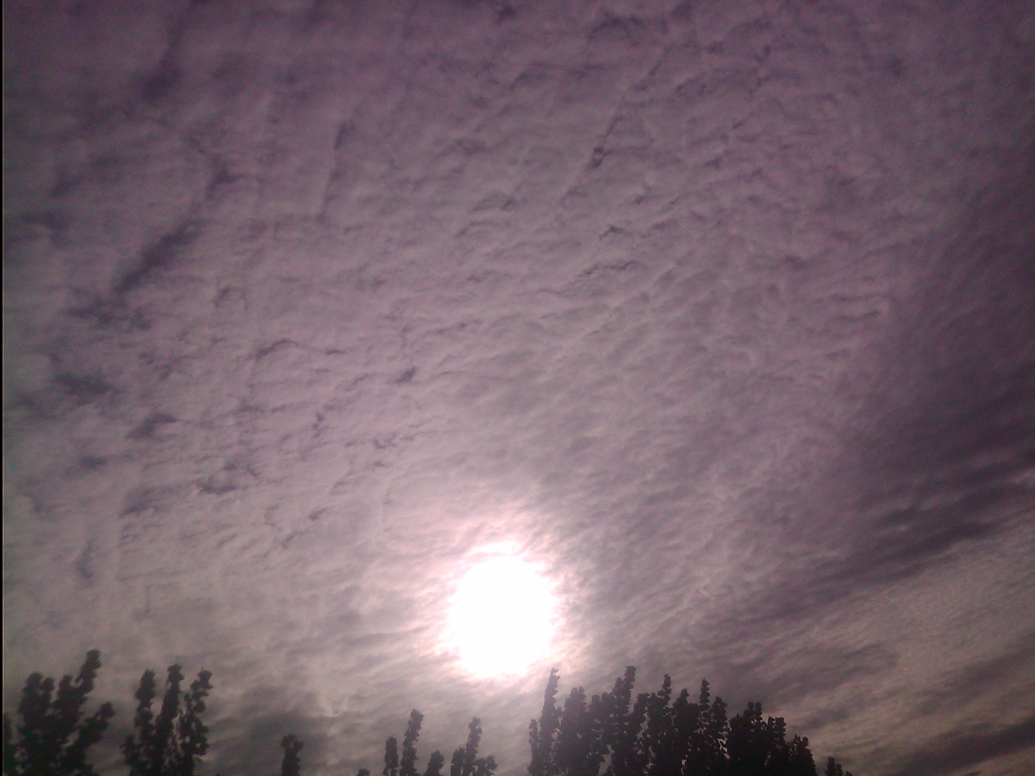 201192016493034.jpg