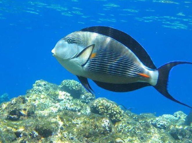 201192513332417.jpg
