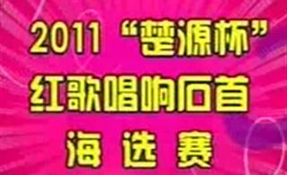 2011��質��ʯ��