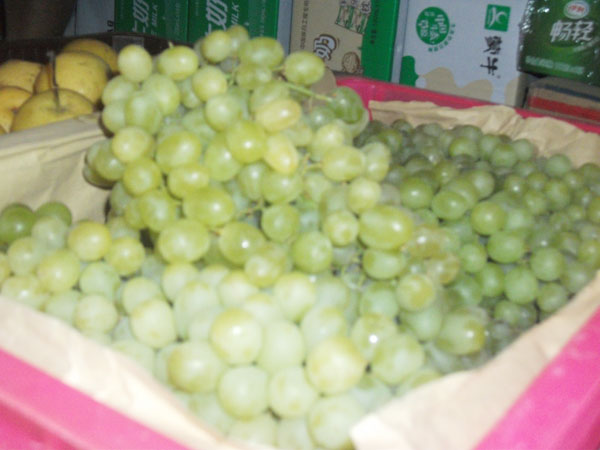 各种各样水果篮 20119916151874.jpg